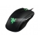 Rato Gaming Taipan Eu RAZER