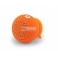 Colunas Wireless Waterproof Suction Speaker Orange Conceptronic