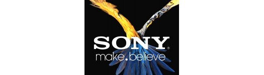 Sony DSLR